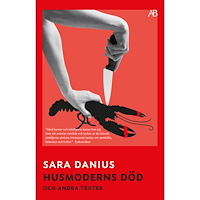 Sara Danius Husmoderns död och andra texter (bok, storpocket)