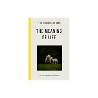 MacMillan Ltd. The Meaning of Life (pocket, eng)