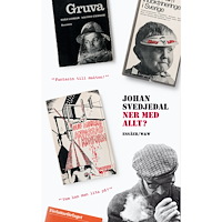 Johan Svedjedal Ner med allt? : essäer om protestlitteraturen och demokratin, cirka 1965-1975 (inbunden)