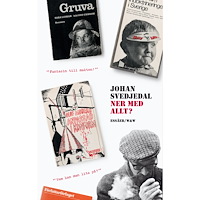 Johan Svedjedal Ner med allt? : essäer om protestlitteraturen och demokratin, cirka 1965-1975 (inbunden)