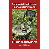 Lukas Moodysson Det var mörkt i mitt huvud men aldrig i mitt hjärta (bok, danskt band)