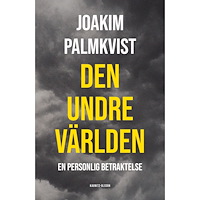 Joakim Palmkvist Den undre världen (inbunden)
