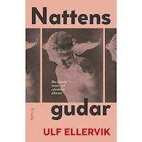 Ulf Ellervik Nattens gudar : den kemiska sömnen och vakenhetens dilemma (inbunden)