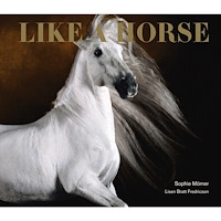 Sophie Mörner Like a horse (inbunden)