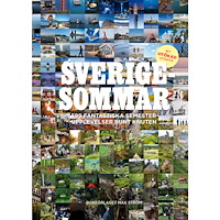 Max Ström Sverigesommar : 599 fantastiska semesterupplevelser runt knuten (inbunden)