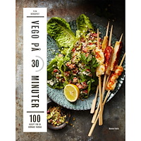 Ylva Bergqvist Vego på 30 minuter (bok, danskt band)