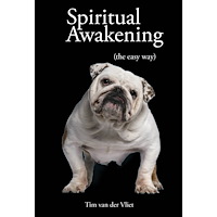 Tim Van Der Vliet Spiritual awakening - (the easy way) (häftad, eng)