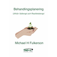 Michael Fulkersson Behandlingsplanering : utifrån valterapi eller realitetsterapi (häftad)