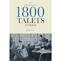 Birgitta Karlsson Verkliga berättelser från 1800-talets Sverige: Del 2 (bok, danskt band)