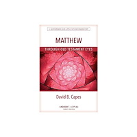 Kregel Academic & Professional Matthew Through OT Eyes (häftad, eng)