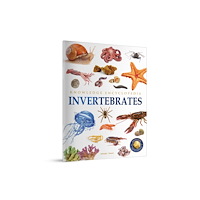 Prakash Books Animals - Invertebrates (häftad, eng)
