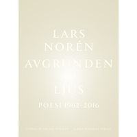 Lars Norén Avgrunden av ljus (bok, danskt band)