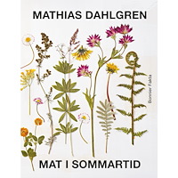 Bonnier Fakta Mat i sommartid (bok, danskt band)