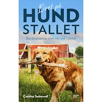 Carolina Setterwall Livet på Hundstallet : berättelserna som rör vid hjärtat (bok, kartonnage)
