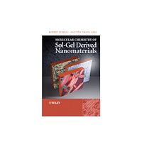 John Wiley & Sons Inc Molecular Chemistry of Sol-Gel Derived Nanomaterials (inbunden, eng)