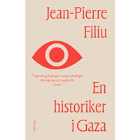 Jean-Pierre Filiu En historiker i Gaza (inbunden)