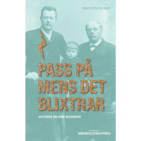 Benito Peix Geldart Pass på mens det blixtrar : historien om Kork-Wicanders (bok, flexband)