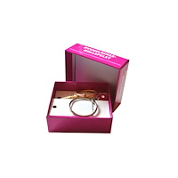 Åsa Roos Nyckelringsrollspelet (bok)