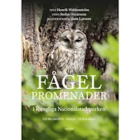 Henrik Waldenström Fågelpromenader i Kungliga Nationalstadsparken (bok, flexband)