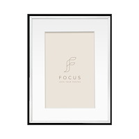 FOCUS Focus Aster Silver 15x20/PP 10x15