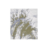 Ugly Duckling Presse footprints (häftad, eng)