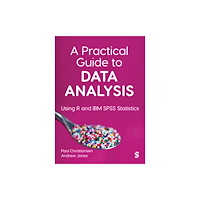 Sage Publications Ltd A Practical Guide to Data Analysis (häftad, eng)