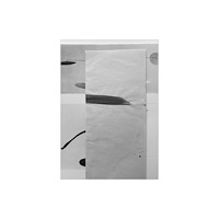 Libraryman Co., Ltd. N° 1 : Inhalt (häftad, eng)