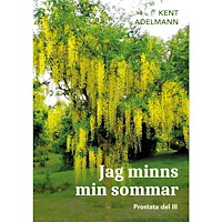 Kent Adelmann Jag minns min sommar : Prostata del III (bok, danskt band)