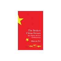 Princeton University Press The Broken China Dream (inbunden, eng)