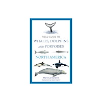 Bloomsbury Publishing PLC Field Guide to Whales, Dolphins and Porpoises of North America (häftad, eng)