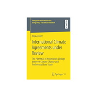Springer Fachmedien Wiesbaden International Climate Agreements under Review (häftad, eng)