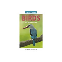 Penguin Random House South Africa Pocket Guide Birds of Botswana (häftad, eng)