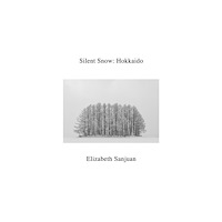 Daylight Books Silent Snow (inbunden, eng)