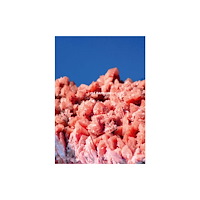 Hartmann Books After Nature Ulrike Crespo Photography Prize 2025 - Lisa Barnard (häftad, eng)