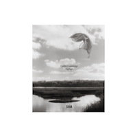 Skira Slippages (inbunden, eng)