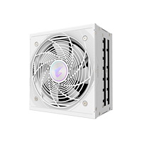 Gigabyte Technology AORUS ELITE AE850PM PG5 ICE