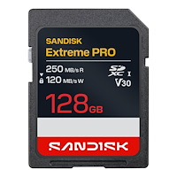 SANDISK SD Extreme Pro 128GB 250/120MB/s C10 UHS U3 V30 RPD2