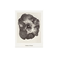 Poursuite editions A Matter of Chance (häftad, eng)