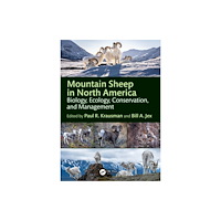 Taylor & francis ltd Mountain Sheep in North America (häftad, eng)