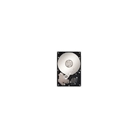 Seagate Seagate DB35.3 Series ST3250820SCE - hårddisk - 250 GB - SATA 3Gb/s