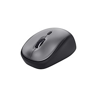 Trust Computer Products Trust Yvi Plus - mus - tyst - 2.4 GHz - svart