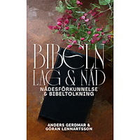 STH Förlag Bibeln : lag och nåd (pocket)