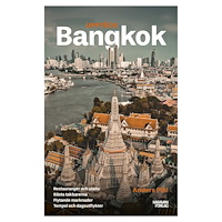 Anders Pihl Upptäck Bangkok (bok, danskt band)