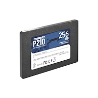 Patriot Memory Patriot P210 - SSD - 256 GB - SATA 6Gb/s