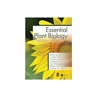 Taylor & francis ltd Essential Plant Biology (häftad, eng)