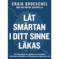Craig Groeschel Låt smärtan i ditt sinne läkas (bok, danskt band)