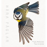 Roine Magnusson Nära fåglar (inbunden)