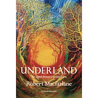 Robert Macfarlane Underland : en upptäcktsresa i underjorden (inbunden)