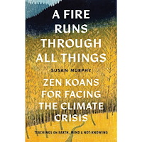 Susan Murphy A Fire Runs through All Things (häftad, eng)