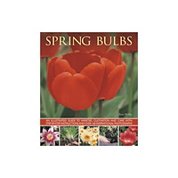 Anness publishing Spring Bulbs (häftad, eng)